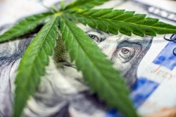 cannabis tax services