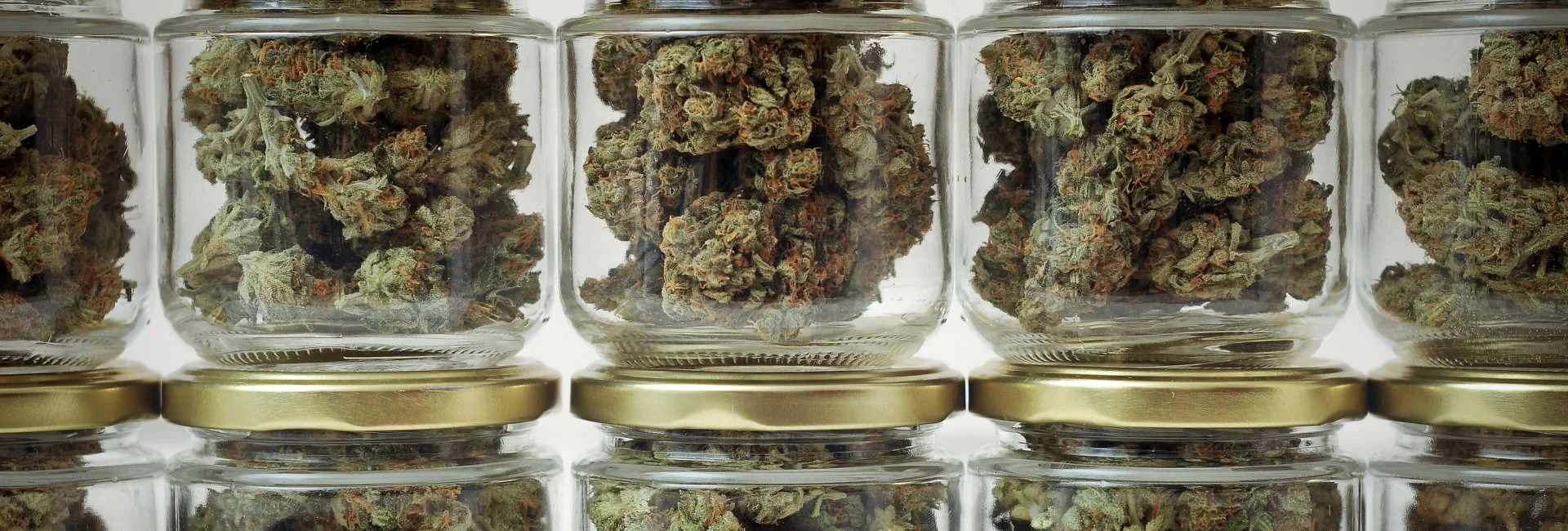 Smoky Mtn Cannabis Advisors Slide 2