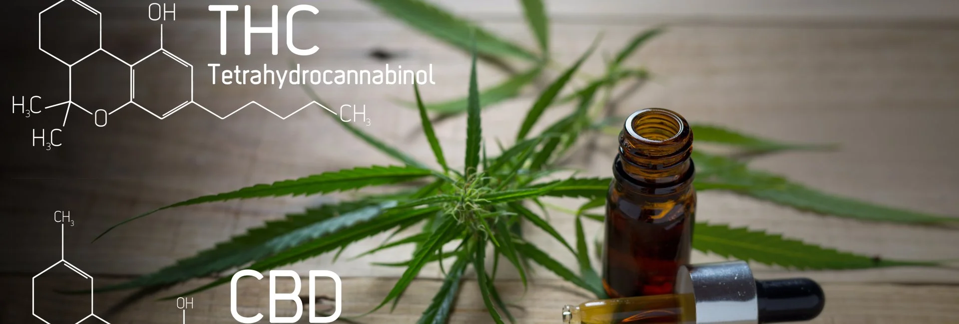 Smoky Mtn Cannabis Advisors Slide 3